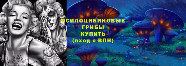 винт Алексин