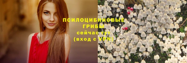 а пвп мука Алзамай